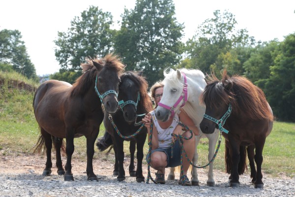 Fun4Kids Ponyreiten mit Christine Gbr. "das Team"