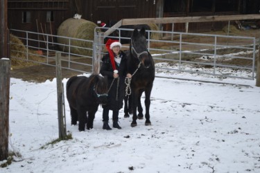 Fun4Kids Ponyreiten mit Christine Gbr. Christine das Christkind:-) Fun4Kids Ponyreiten mit Christine Gbr. Christine das Christkind:-)