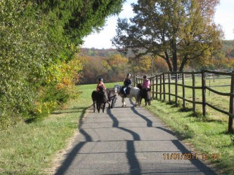 Fun4Kids Ponyreiten mit Christine in Waldenbuch