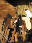 Fun4Kids Ponyreiten mit Christine