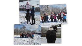 Milena`s Kindergeburtstag