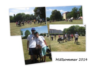 22.06.2014 Fun4Kids beim "Mittsommer" in Waldenbuch 22.06.2014 Fun4Kids beim "Mittsommer" in Waldenbuch