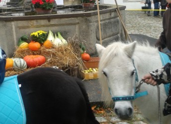 04.10.2015 Fun4Kids Familiensonntag im Schlosshof von Waldenbuch 04.10.2015 Fun4Kids Familiensonntag im Schlosshof von Waldenbuch
