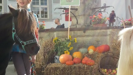 Fun4Kids Ponyreiten mit Christine, Erntedanksonntag im Schloss in Waldenbuch 2016 Fun4Kids Ponyreiten mit Christine, Erntedanksonntag im Schloss in Waldenbuch 2016