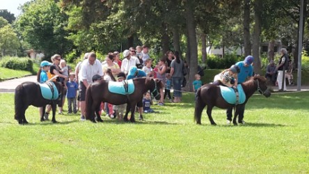 Fun4Kids Ponyreiten mit Christine auf dem Mittsommer in Waldenbuch 2016 Fun4Kids Ponyreiten mit Christine auf dem Mittsommer in Waldenbuch 2016