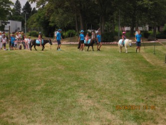 Fun4Kids Ponyreiten mit Christine, auf dem Mittsommer in Waldenbuch Fun4Kids Ponyreiten mit Christine, auf dem Mittsommer in Waldenbuch