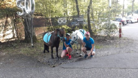 Fun4Kids Ponyreiten mit Christine Gbr. in Sindelfingen auf dem Sommerfest der Firma Edag Fun4Kids Ponyreiten mit Christine Gbr. in Sindelfingen auf dem Sommerfest der Firma Edag