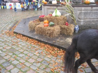 Fun4Kids Ponyreiten mit Christine Gbr. Erntedanksonntag im Schlosshof Fun4Kids Ponyreiten mit Christine Gbr. Erntedanksonntag im Schlosshof