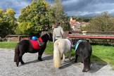Fun4Kids Ponyreiten mit Sternchen beim Museum der Alltagskultur Fun4Kids Ponyreiten mit Sternchen beim Museum der Alltagskultur